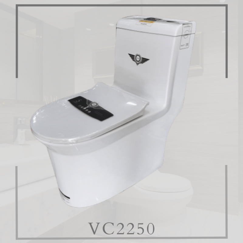 BỒN CẦU 1 KHỐI CAO CẤP VEURRO VC2250