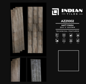 Gạch Ấn Độ 200x1200 AZ21002